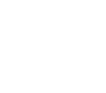 optimize your brand icon