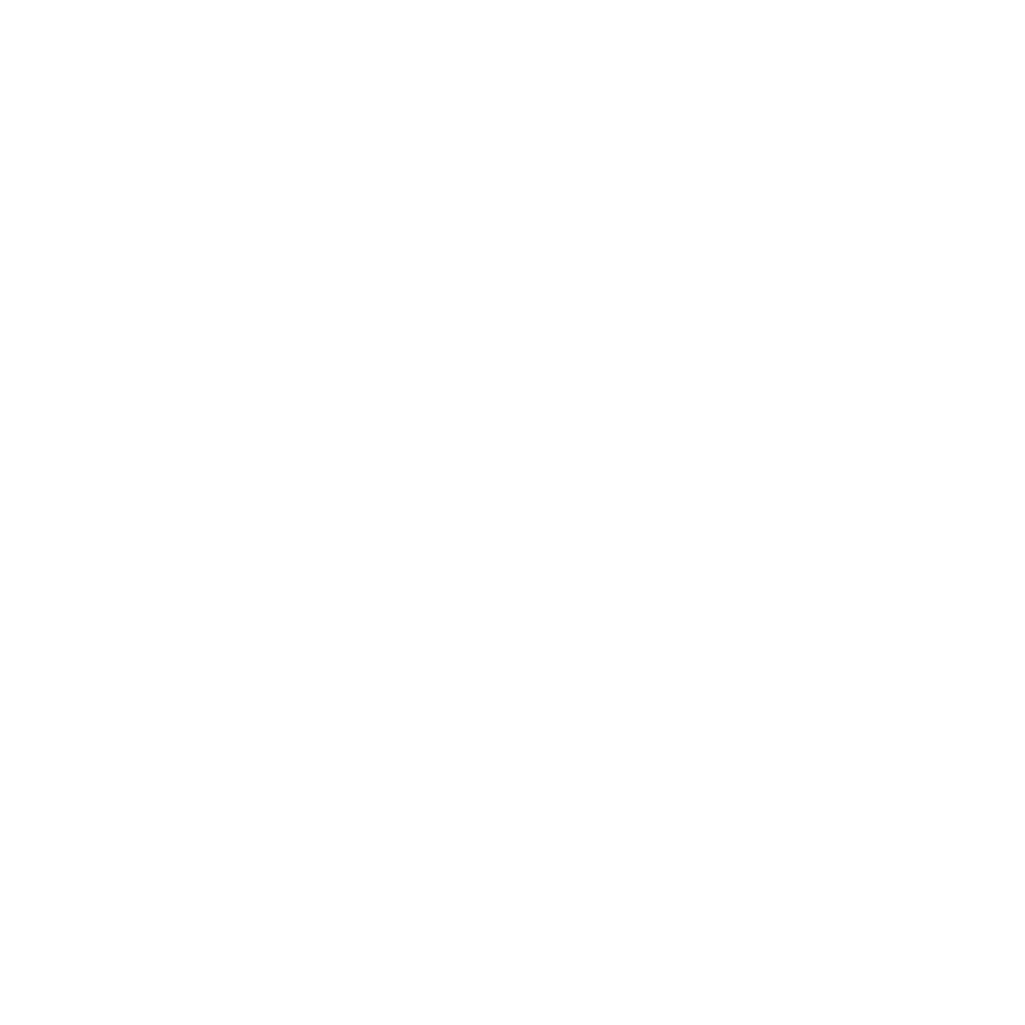 Max Flow Logo