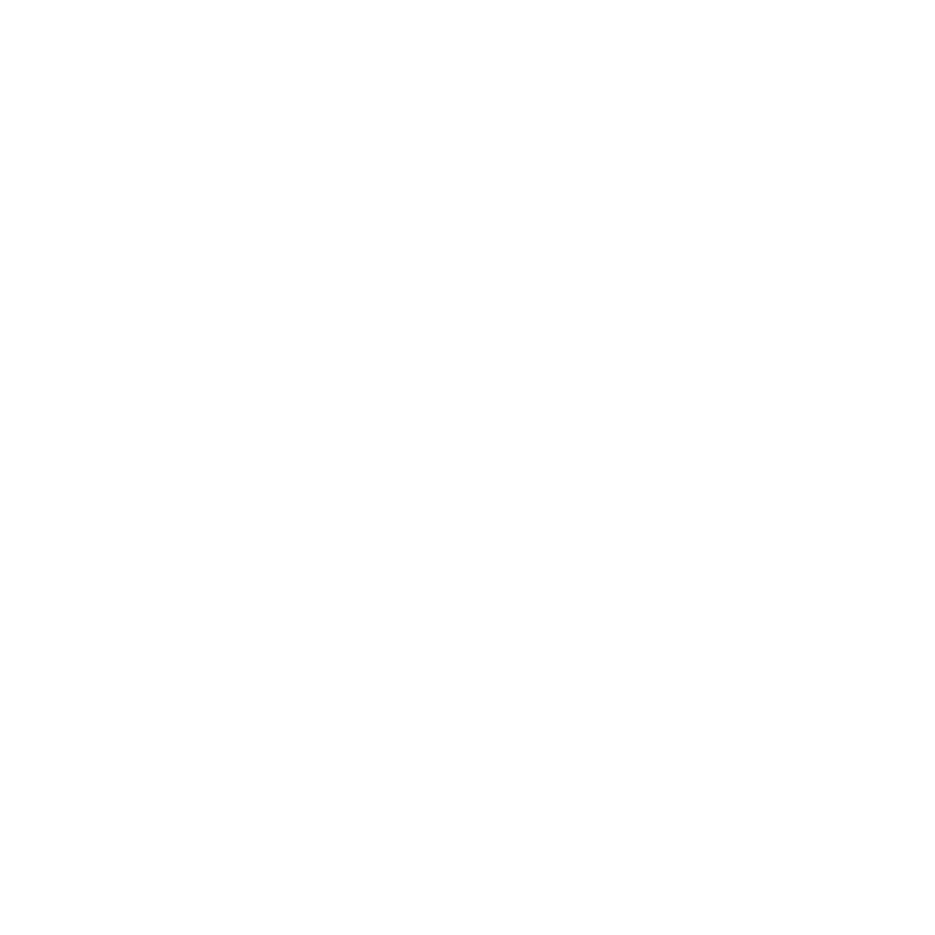 Direct Power Electrical Logo
